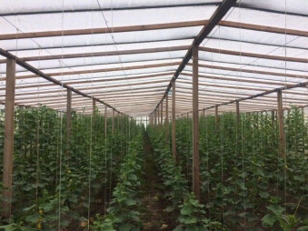 Продажа действующего сельскохозяйственного бизнеса